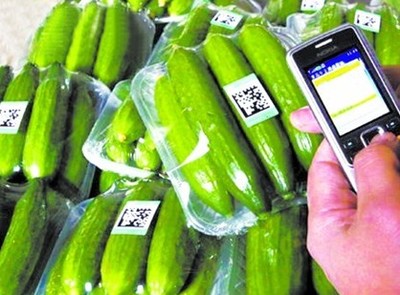 探索“掃碼觀菜、冷鏈出菜”新模式 讓農(nóng)產(chǎn)品更安全直達(dá)餐桌